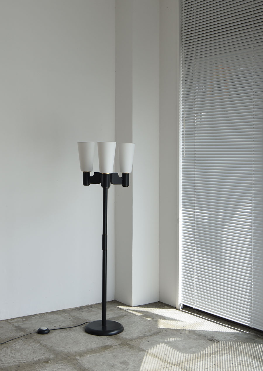 Black Painted Floor Lamp 1960s スウェーデン製 フロアランプ